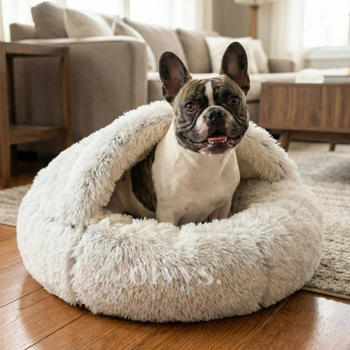 Olvys Cozy Cocoon - Pet Bed